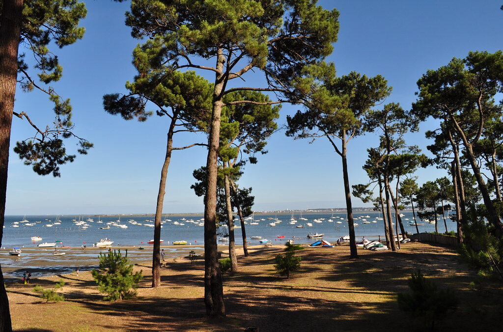 Cap Ferret autrement : 5 balades insolites pour explorer la presqu’île