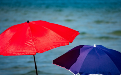 Cap ferret 2024, secrets, marées et huîtres hors saison savoureuses